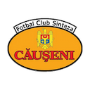 Sinteza Căuşeni