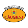Sinteza Căuşeni