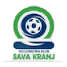 Sava Kranj