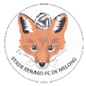 Stade Renard