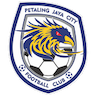 Petaling Jaya City