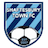 Shaftesbury Town
