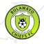 Bulawayo Chiefs