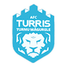 Turris-Oltul T. Măgurele