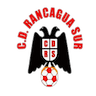 Rancagua Sur