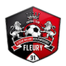 Fleury 91