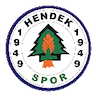 Hendek Spor