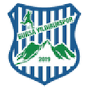 Bursa Yıldırımspor