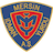 Yeni Mersin IY