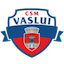 CSM Vaslui