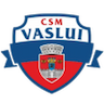 CSSM Vaslui