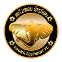 Young Elephant