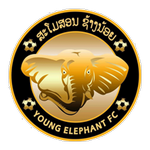 Young Elephants