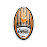 CSF Cricova