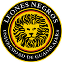 Leones Negros II