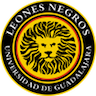 Leones Negros II