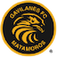 Gavilanes