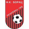 Borac Lazarevac