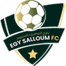 Al Masry Salloum