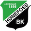 Honefoss W