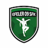 Efeler 09 Spor