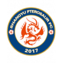 Shangyu Pterosaur