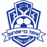Ihud Bnei Shfaram