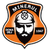 Minerul Ocna Dej