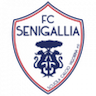 Vigor Senigallia