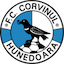Corvinul Hunedoara