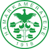 HamKam U19