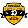 Araucaria U20
