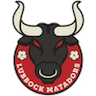 Lubbock Matadors