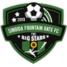 Singida Black Stars