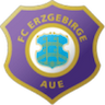 Erzgebirge Aue U19