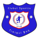 Timisul Sag