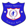 Timişul Şag