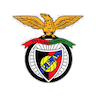 Penya Encarnada