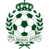 Dessel Sport