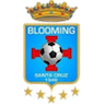 Blooming