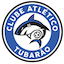Tubarão