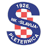 Slavija Pleternica
