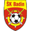Badin