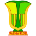 Atlético Palmaflor