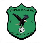 Super Eagles