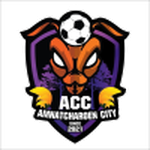 Amnat Charoen City