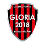 Gloria Bistriţa